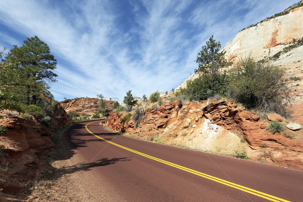 road in Zion National Park Stock photo © vwalakte