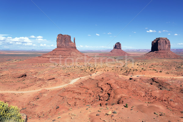 unique landscape of Monument Valley Stock photo © vwalakte