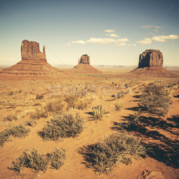 Monument Valley Stock photo © vwalakte