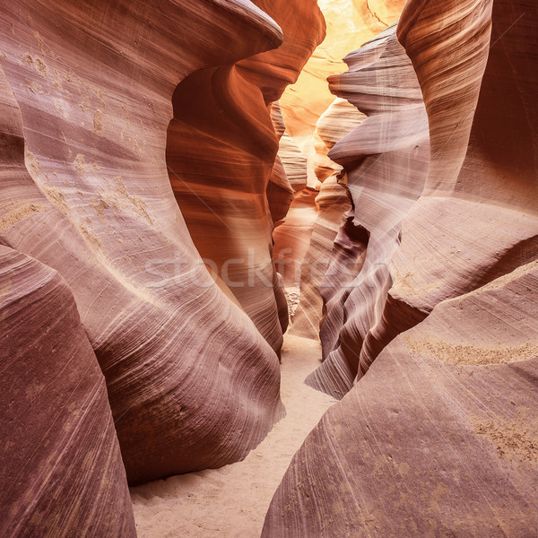 View in the famous Antelope Canyon Stock photo © vwalakte