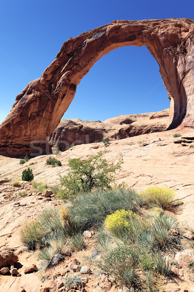 the famous Corona Arch Stock photo © vwalakte