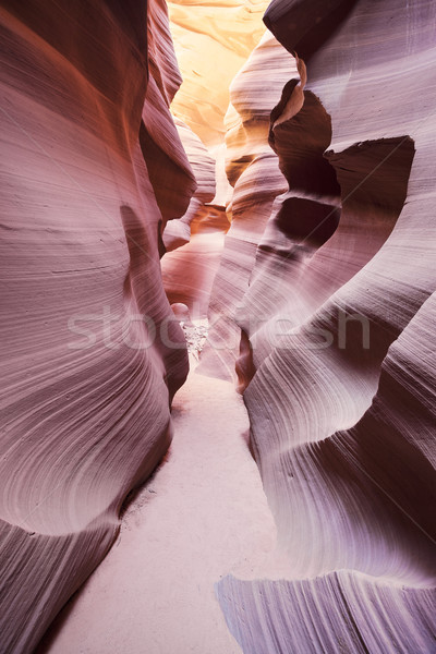 Stockfoto: Beroemd · canyon · pagina · Arizona · USA