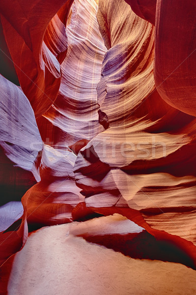 vertical view in the Antelope Canyon Stock photo © vwalakte