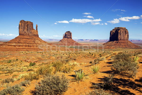 view of Monument Valley Stock photo © vwalakte