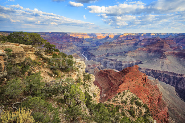 Foto stock: Ver · Grand · Canyon · manhã · luz · horizontal · EUA