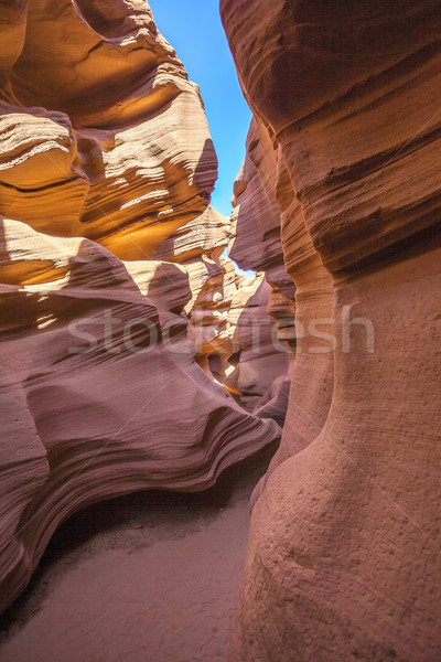 Vertical view of famous Antelope Canyon Stock photo © vwalakte