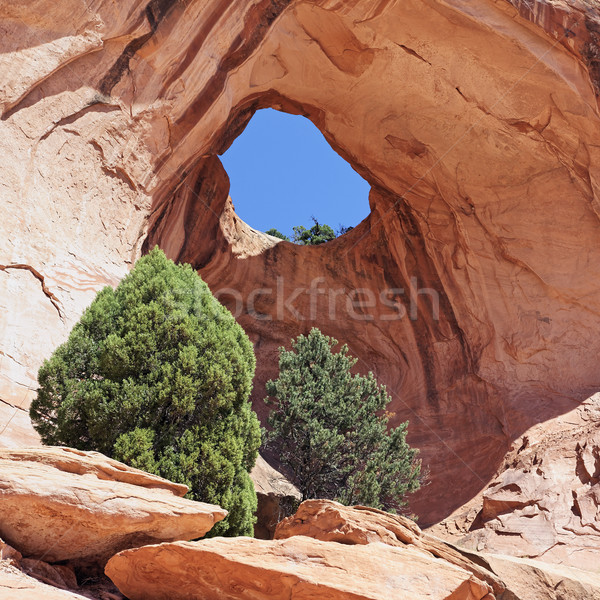 Stock photo: the Bowtie Arch