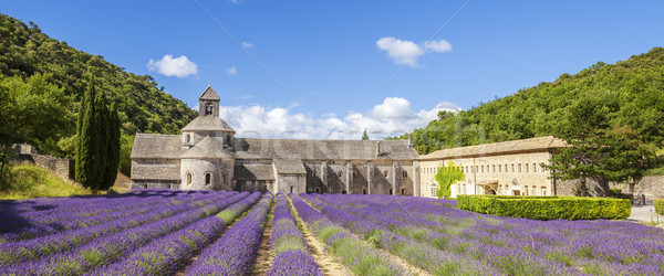 Panoramica view abbazia fioritura lavanda Foto d'archivio © vwalakte