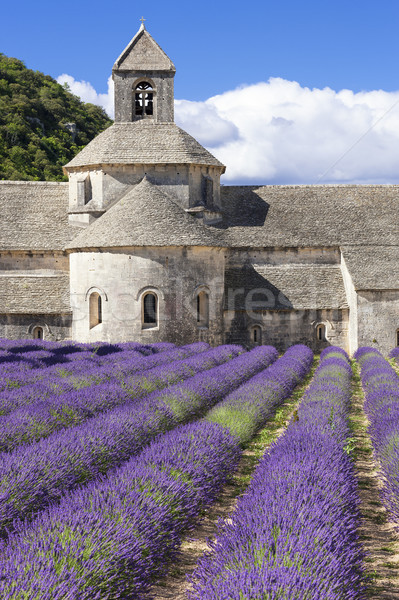 Abbey of Senanque Stock photo © vwalakte