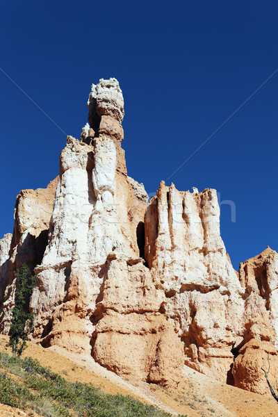 Famous hoodoo rocks at Bryce Canyon Stock photo © vwalakte