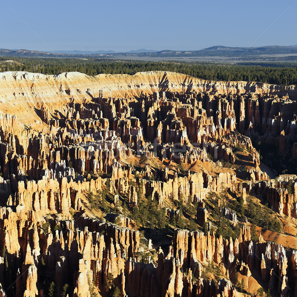 Canyon carré célèbre amphithéâtre point [[stock_photo]] © vwalakte