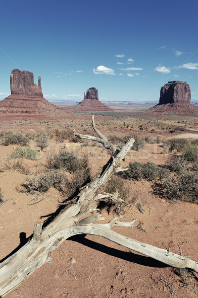 vertical view of Monument Valley Stock photo © vwalakte