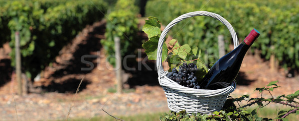 bottle of wine and grappes in basket Stock photo © vwalakte