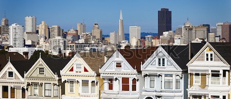 view from Alamo Square Stock photo © vwalakte