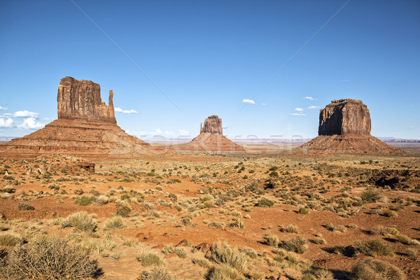 view of famous Monument Valley Stock photo © vwalakte