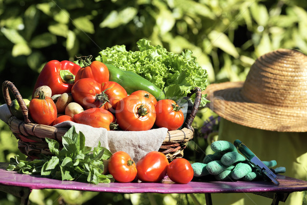 Légumes frais différent table jardin été marché [[stock_photo]] © vwalakte