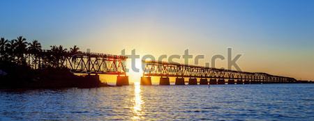 Panoramic broken bridge Stock photo © vwalakte