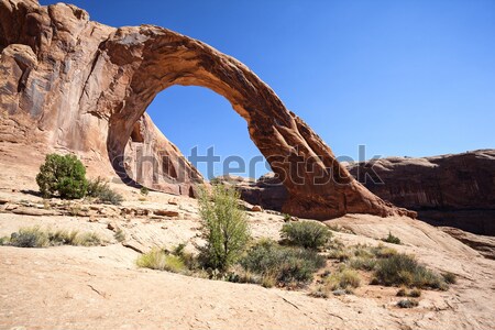 The famous Corona Arch Stock photo © vwalakte