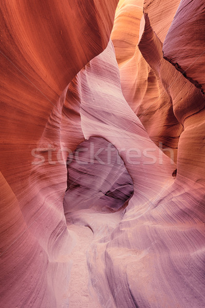 View canyon pagina Arizona USA texture Foto d'archivio © vwalakte