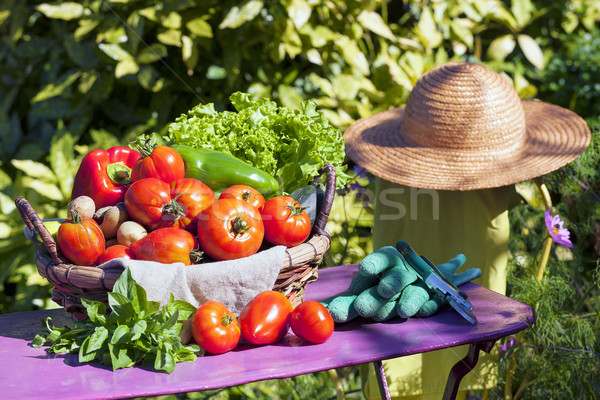 Some vegetables in a basket Stock photo © vwalakte