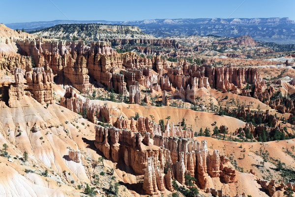 Berühmt Amphitheater Canyon Park Utah USA Stock foto © vwalakte