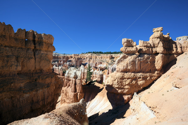 view of famous Navajo Trail Stock photo © vwalakte