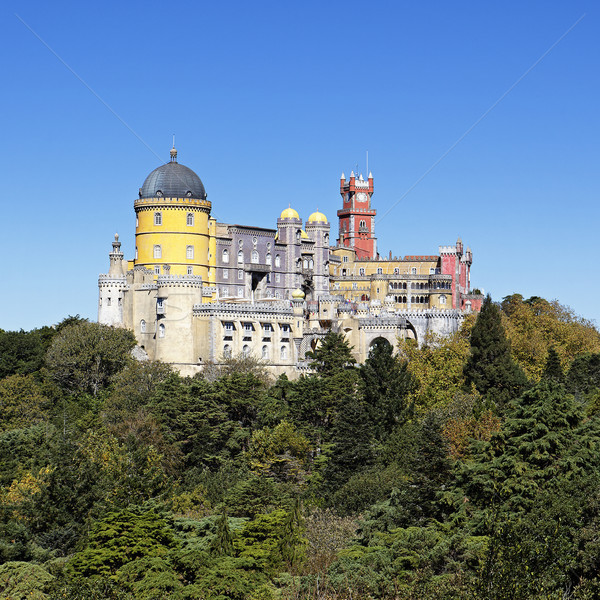 Vierkante kasteel Blauw kleur panorama Stockfoto © vwalakte