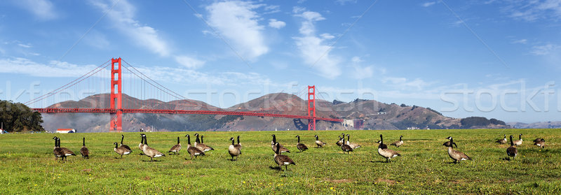 Panoramique vue Golden Gate Bridge San Francisco ciel ville [[stock_photo]] © vwalakte