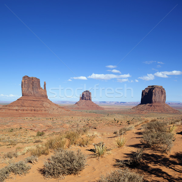 Monument Valley Stock photo © vwalakte