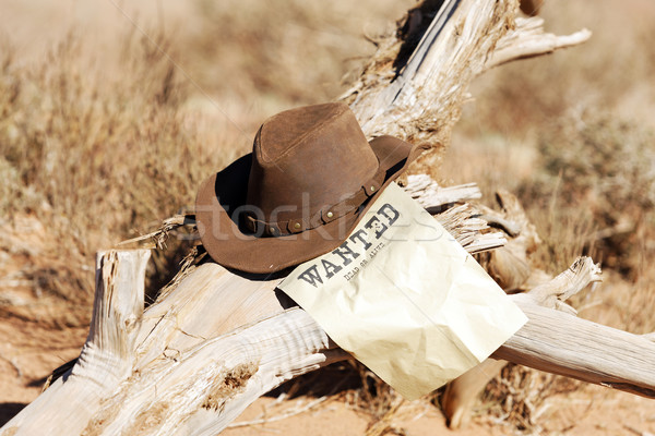 Stock photo: vintage wanted