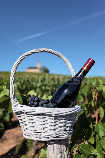 Bottle of wine and grappes in basket Stock photo © vwalakte