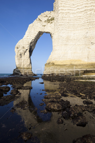 Vertical view of Etretat Aval cliff Stock photo © vwalakte