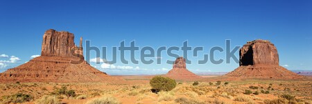 Monument Valley Stock photo © vwalakte