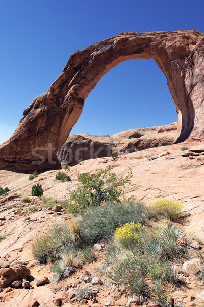 Vertical view of Corona Arch Stock photo © vwalakte