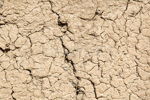 Foto stock: Arcilla · pared · barro · imagen · Omán · edificio