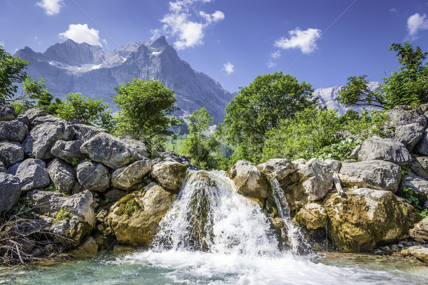 Wodospad alpy zdjęcie drzew góry wody Zdjęcia stock © w20er