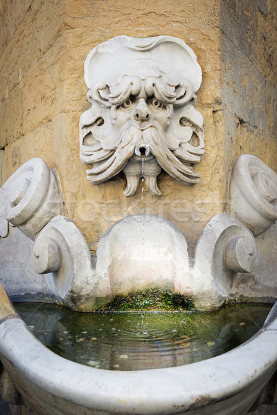 Stock photo: Fountain of Buontalenti