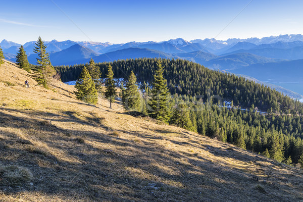 Landscape Bavaria Alps Stock photo © w20er