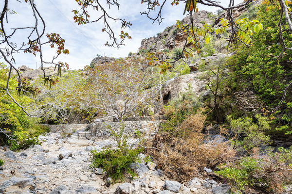 riverbed stock photos stock