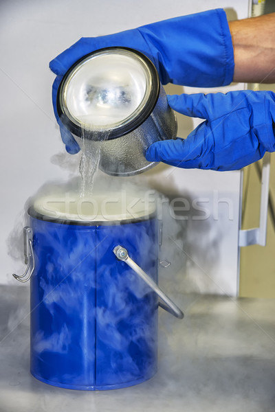 Persona líquido nitrógeno química laboratorio hielo Foto stock © w20er