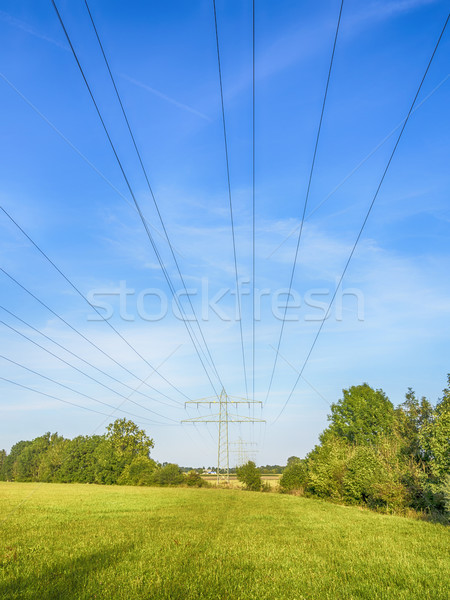 Power calbe over green meadow Stock photo © w20er