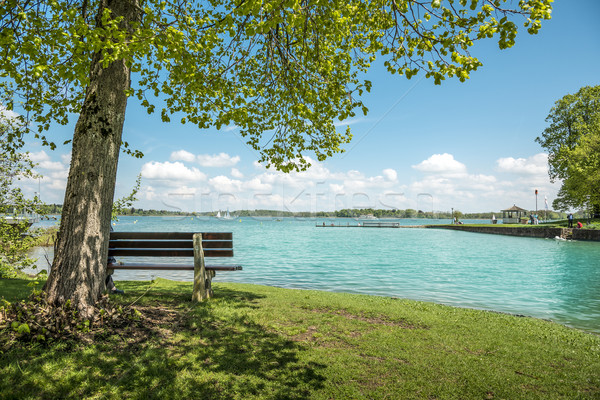 Lake Chiemsee with tree and bench Stock photo © w20er