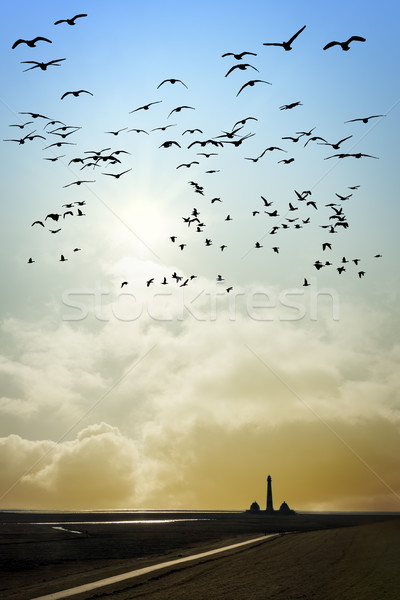 Lighthouse with birds Stock photo © w20er