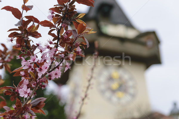 Zegar wieża Graz Austria obraz europejski Zdjęcia stock © w20er