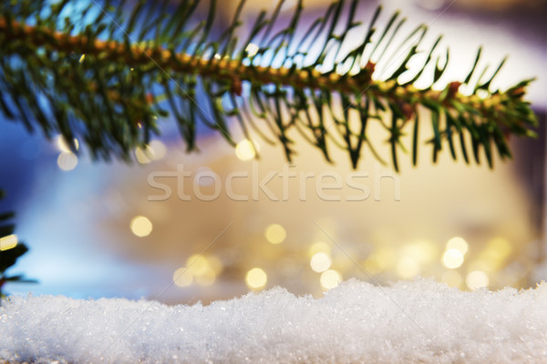 branch and artificial snow with bokeh lights Stock photo © w20er