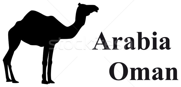 Vector Camel Arabia Oman Stock photo © w20er
