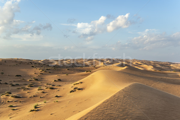 Desert Wahiba Oman Stock photo © w20er