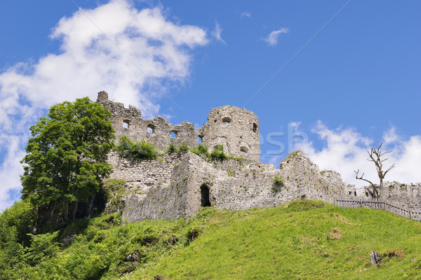Castle Ehrenberg Tyrol Stock photo © w20er