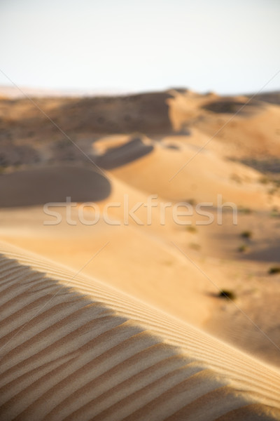 Desert Wahiba Oman Stock photo © w20er