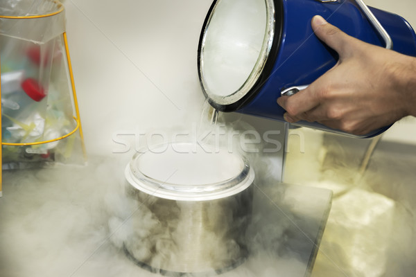 Person Flüssigkeit Stickstoff Chemie Labor Essen Stock foto © w20er
